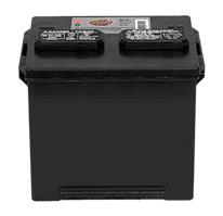 INTERSTATE LAWN/GARDEN 12 VOLT BATTERY
