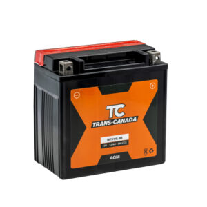 Canadian Battery store