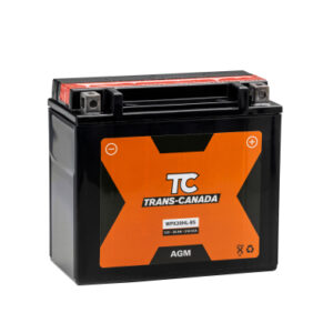 Canadian Battery store