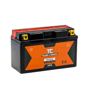 Canadian Battery store
