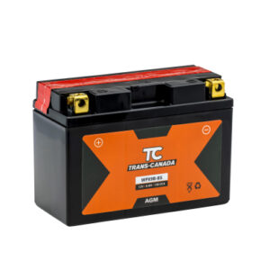 Canadian Battery store
