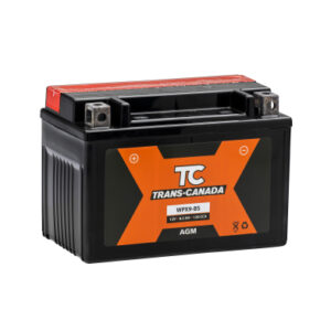 Canadian Battery store