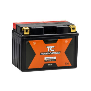 Canadian Battery store